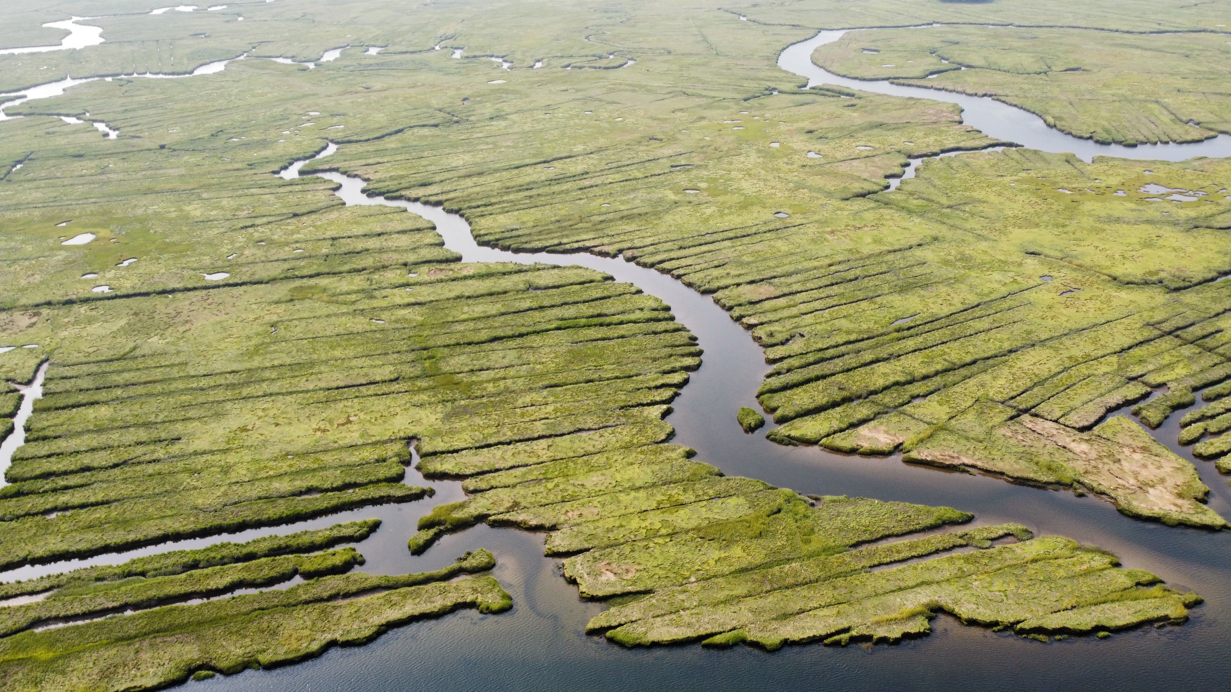 Salt marsh Soren Goldsmith